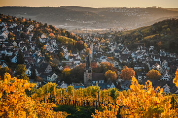 Beautiful sunset view of the Stuttgart suburb Uhlbach, Germany, which is surrounded by vineyards...