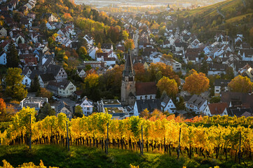 Beautiful sunset view of the Stuttgart suburb Uhlbach, Germany, which is surrounded by vineyards during autumn. A historic church is in the center of the village.