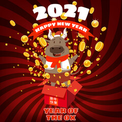 Happy Chinese 2021 new year greeting card. Year of the ox. Cute bull and open red gift boxg confetti gold money. Chinese zodiac symbol traditional holidays cartoon character. Vector illustration