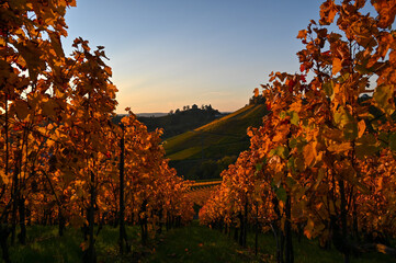 Colorful vineyard panorama at sunset during autumn near Stuttgart, Germany. A small funerary chapel...