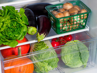 Fresh vegetables in household refrigerator.