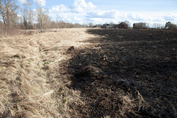 burnt grass in the field