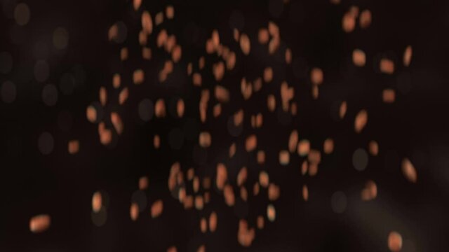 Roasted coffee beans jumping in super slow motion in 4K