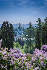 Lilac flowering near Vydubichi monastery