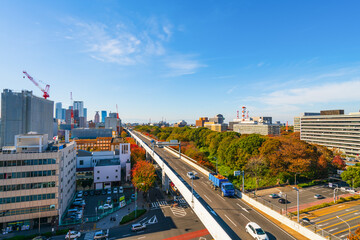 Fototapeta na wymiar Nagoya city downtown in sutumn. Japan