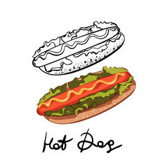 Vector set of hotdogs with mustard. Illustration vector. icon isolated on white. in color, and doodle outline black white
