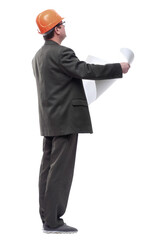 rear view. experienced architect reading the drawing.