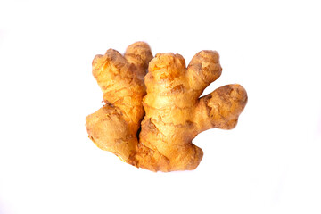 GINGER ISOLATED ON WHITE BACKGROUND
