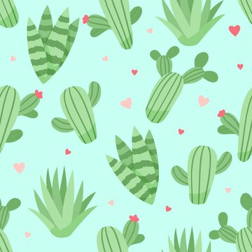 Cute cactus and succulents pattern, vector illustration in flat style