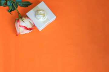 White and pink rose and white gift box on an orange background, top view, copy space