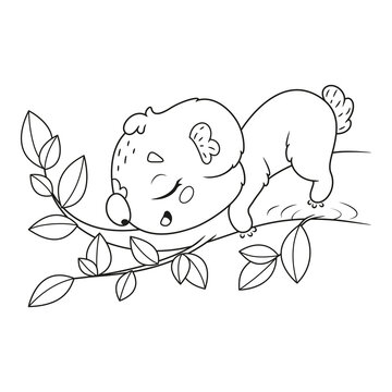 Cute Koala Sleeping On Eucalyptus Branch Coloring Page. Cartoon Vector Outline