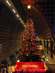 クリスマスツリー