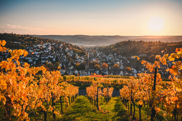 Beautiful sunset view of the Stuttgart suburb Uhlbach, Germany, which is surrounded by vineyards during autumn. A historic church is in the center of the village.