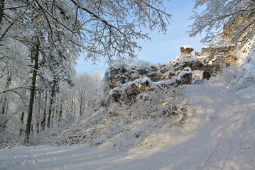 snow covered trees