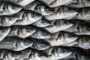 Obraz premium catch of the day to the fish market