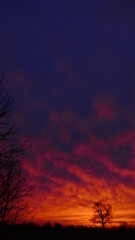 Obraz na płótnie Canvas red sunset sky