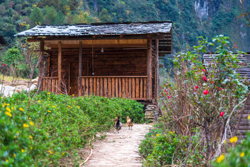 wooden house in the forest