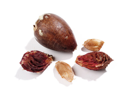 Five different fruit cores on white background.
