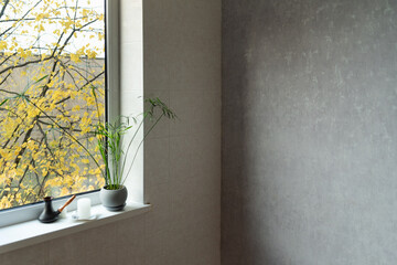 Room design in light colors. Corner of room, window and flower in pot. Empty space