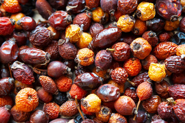 Dry fruits of wild rosehip are scattered in a thin layer over the surface. Close-up photographed.