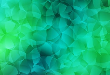Light Green vector texture with abstract forms.