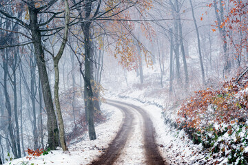 winter road in the forest with snow