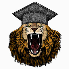 Lion head. Square academic cap, graduate cap, cap, mortarboard. Portrait of wild african animal.