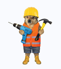 A dog worker in a yellow construction is holding a blue hand electric drill and a hammer. White...