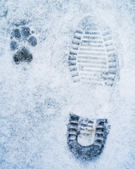 footprints od dog and man in snow