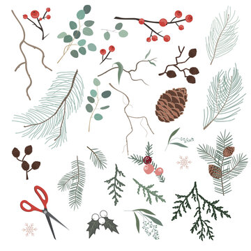 Botanical Christmas elements for making Xmas wreath or other home decor. Winter brunches, flowers, leaves, and pinecones isolated on white backgrounds. Vector set