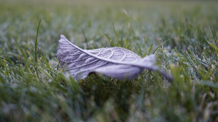 Europe, Ukraine, Kiev - December 11, 2020: Abnormal weather.  Heavy ice.  Freezing and icing on the road.  Frozen grass and trees
