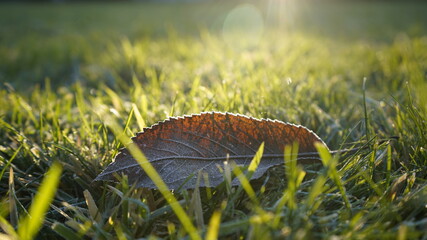 Europe, Ukraine, Kiev - December 11, 2020: Abnormal weather.  Heavy ice.  Freezing and icing on the road.  Frozen grass and trees