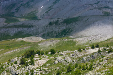 Fototapeta na wymiar Col de la Cayolle, Ubaye Valley, Vallée de l'Ubaye, Alpes Haute Provence, Provence, France, Europe