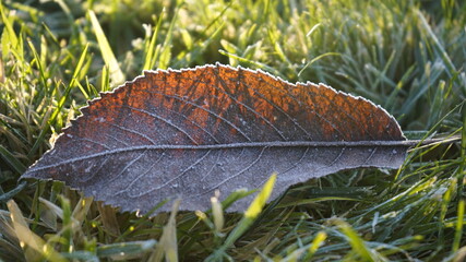 Europe, Ukraine, Kiev - December 11, 2020: Abnormal weather.  Heavy ice.  Freezing and icing on the road.  Frozen grass and trees