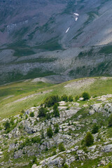 Fototapeta na wymiar Col de la Cayolle, Ubaye Valley, Vallée de l'Ubaye, Alpes Haute Provence, Provence, France, Europe