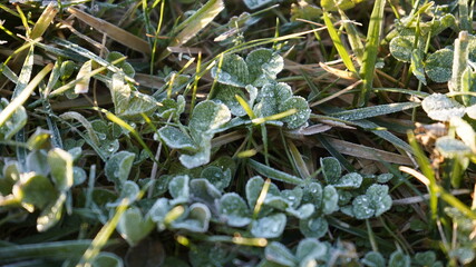 Europe, Ukraine, Kiev - December 11, 2020: Abnormal weather.  Heavy ice.  Freezing and icing on the road.  Frozen grass and trees