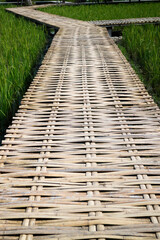 Simple walkway in summer rice field resort