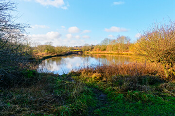 Winter sky reflected in a small woodland pond with treelined banks