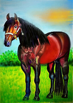 Hand drawn watercolor horse illustration Premium Vector