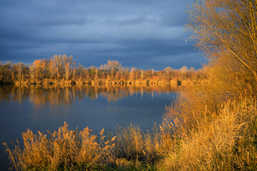 Fototapeta na wymiar Orange foliage reflected in a quiet lake in Burgenland