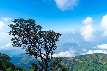 beautiful mountain layer with clouds and blue sky