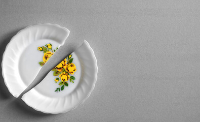 Broken ceramic plate against gray background in trending colors of the year 2021