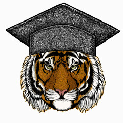Vector tiger portrait. Square academic cap, graduate cap, cap, mortarboard. Animal head.