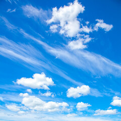 Blue sky and white fluffy clouds