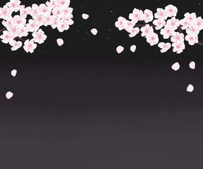満開の夜桜　シナミザクラ
