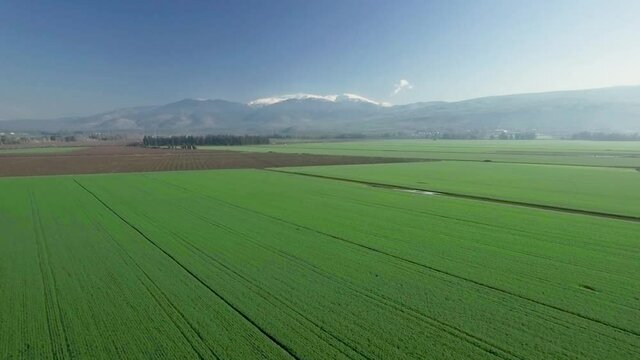 landgrass from a drone shot in the upper galilee in israel