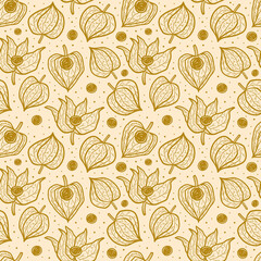 Physalis, winter cherry seamless pattern, texture, background. Floral packaging design. Line art, linocut, silhouette. Ink vector.