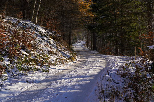 Road covered with snow in Beskid Mountains