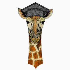 Vector giraffe portrait. Square academic cap, graduate cap, cap, mortarboard. African safari animal head.