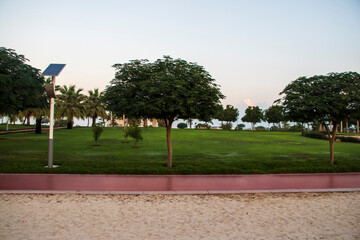 Obraz premium Jogging truck in the park at early morning hour. Outdoor